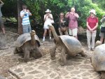 Galapagos Tortoise Facts, Habitat, Diet, Life Span, Pictures