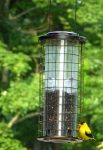 American Goldfinch Facts, Habitat, Diet, Life Cycle, Pictures