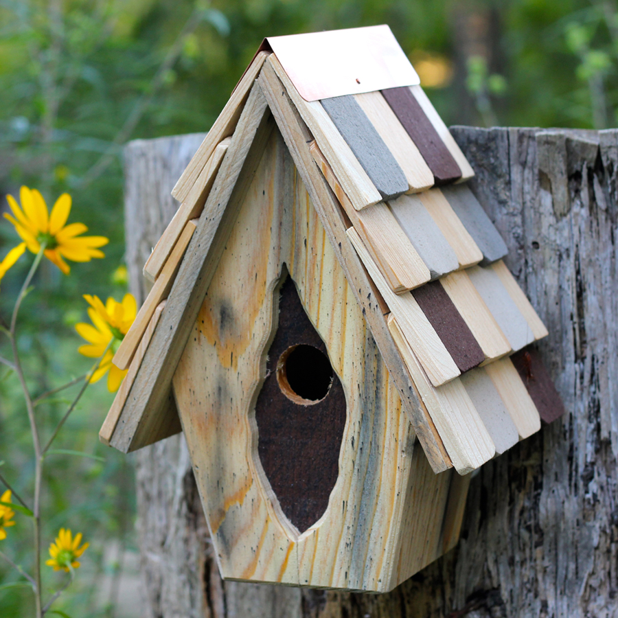 Titmouse Bird House Plans