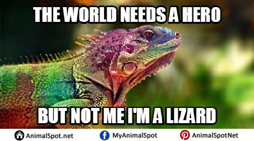 Unimpressed Lizard Meme