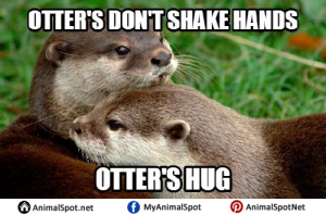 Otter Memes