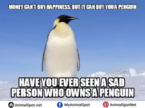 Penguin Memes