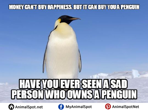 Penguins Memes (@PenguinsMemes) / X